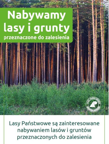 Zakup lasów i gruntów przeznaczonych do zalesienia